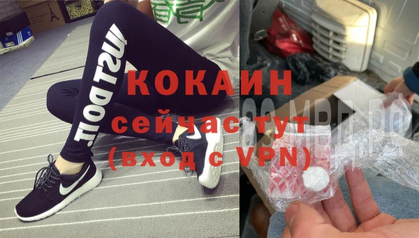 прущие крисы Новодвинск