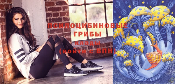 прущие крисы Алексин