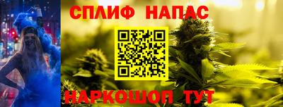 СК Тара