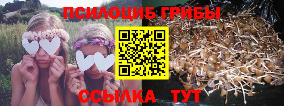Псилоцибиновые грибы Psilocybine cubensis  Вход с VPN  Арзамас 